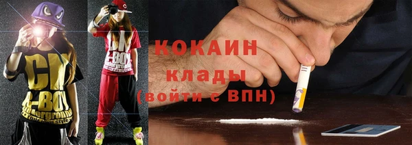 прущие грибы Надым