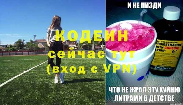 прущие грибы Надым
