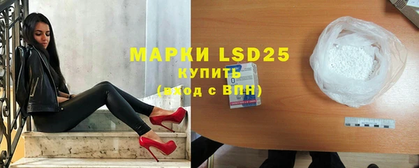 прущие грибы Надым