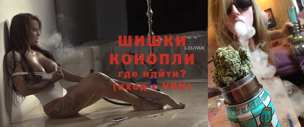 прущие грибы Надым