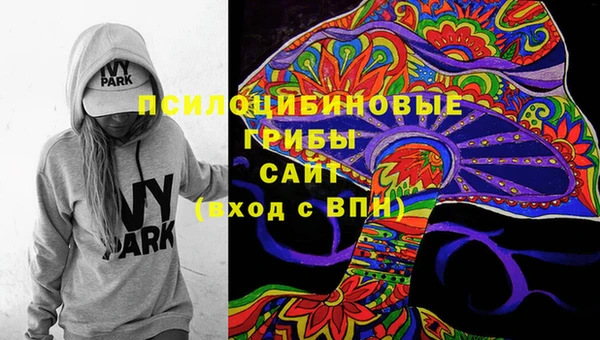 прущие грибы Надым