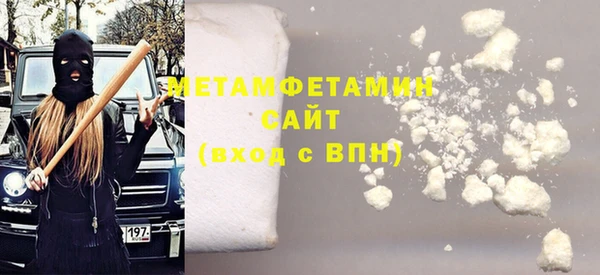прущие грибы Надым