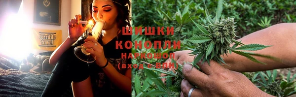 прущие грибы Надым