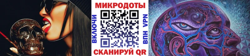 Галлюциногенные грибы Psilocybine cubensis  Торопец 